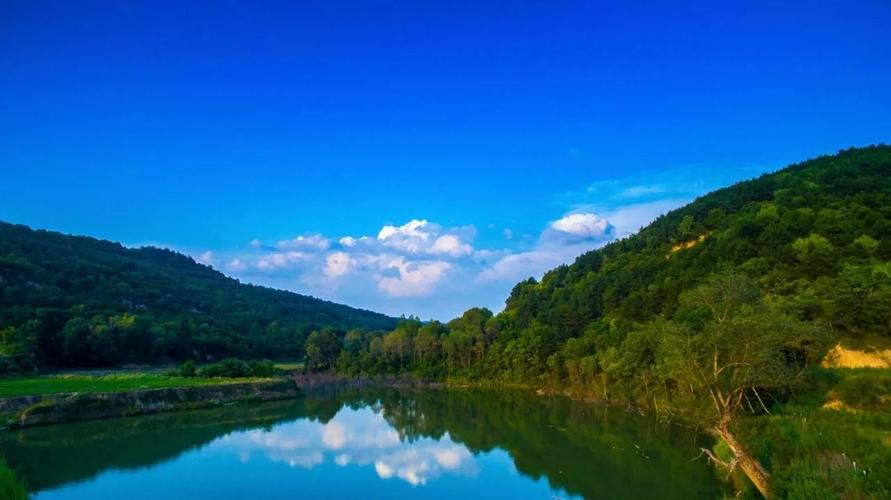 在宁县九岘又一个地方叫:子午岭