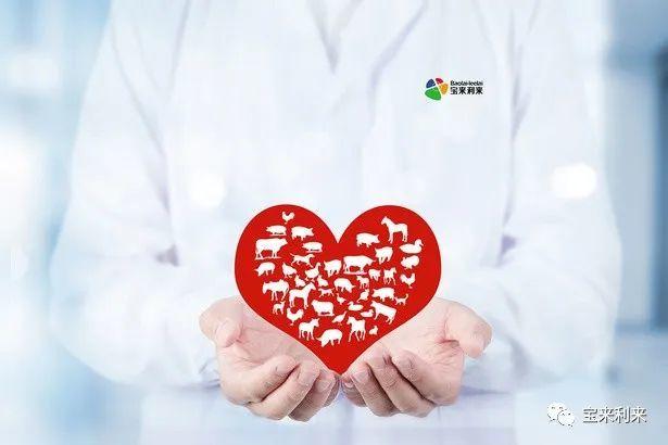 兽医日|宝来利来致敬每一位兽医