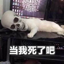 猫表情包 当我死了吧