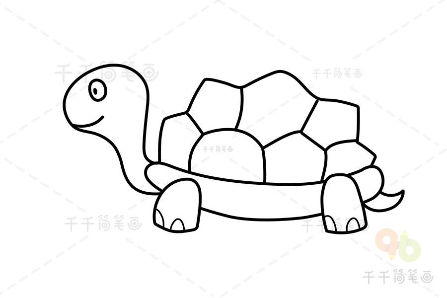 5组乌龟简笔涂色模板大全