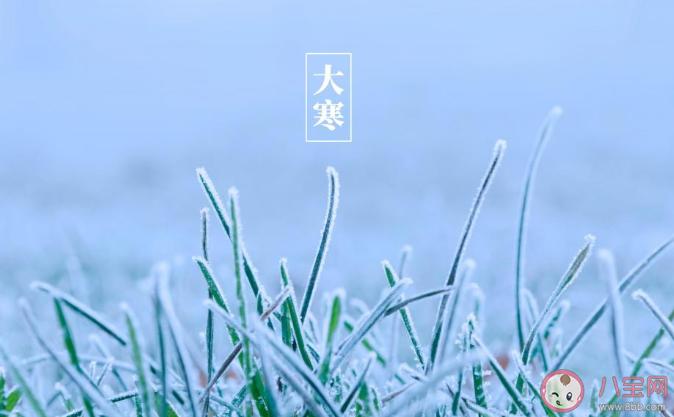 大寒早安说说合集2020大寒节气早上好的祝福语节选