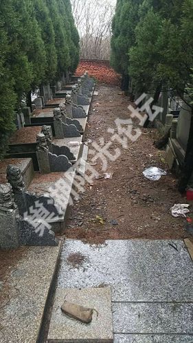 网友爆料今天冬至巢湖西山公墓乱象丛生到底为哪般