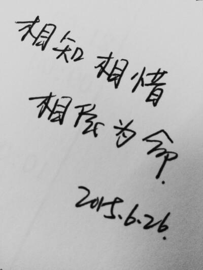 相知相惜,相依为命