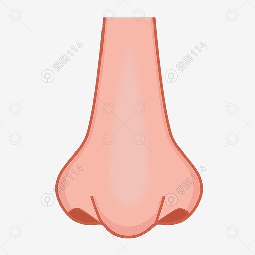 鼻头手绘卡通五官鼻子