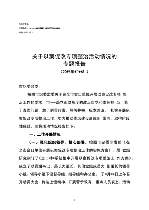 2020年以案促改专项整治活动情况的专题报告docx14页