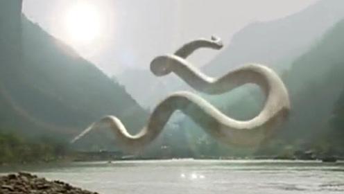 千年白蛇在山间不断的盘旋,下一秒竟化为美女,还这般的妩媚诱惑