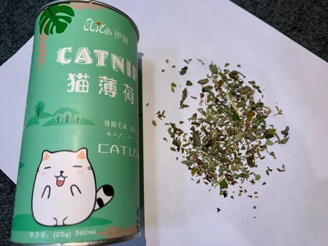 把猫薄荷喂给同事吃,出事儿了算工伤吗?