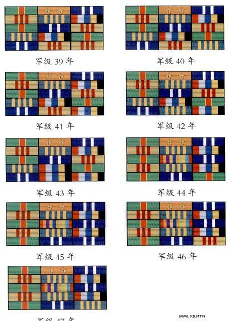 [转载]军官,文职干部级别资历章排列标准