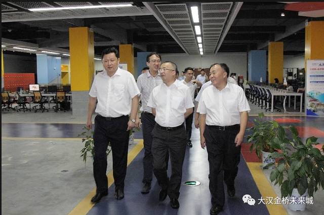 长沙市委常委,副市长付胜华调研大汉金桥