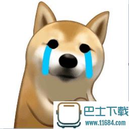 柴犬maruko游泳gif 微信表情包