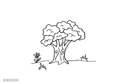 步骤9:然后用波浪线画出叶子上的纹理.