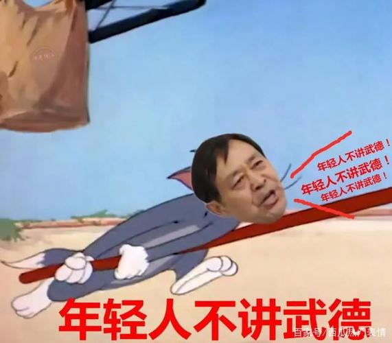 马保国表情包2,小伙子,你不讲武德