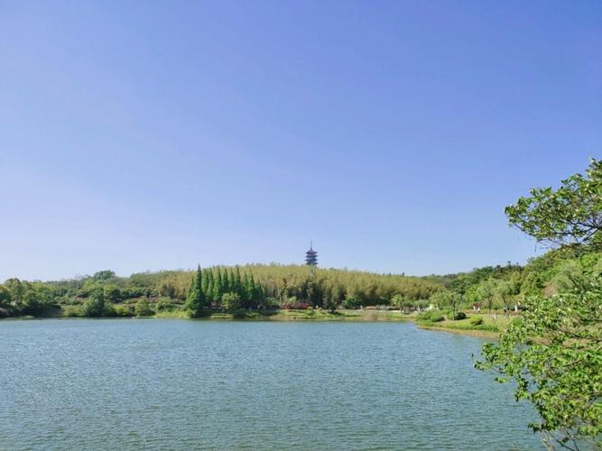 宜兴龙背山森林公园-中国小清迈_森林_宜兴_清迈_游玩