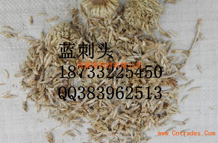中药材蓝刺头哪里可以买到