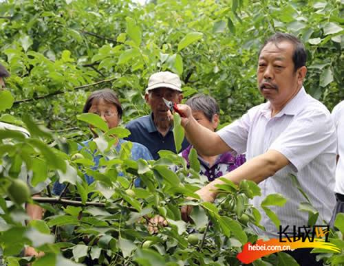 武邑:家乡人以多种形式开展向李保国学习活动