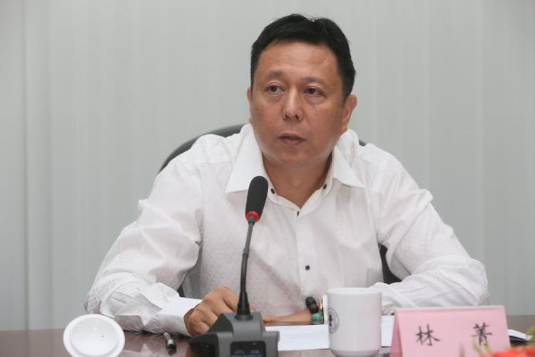 佳讯飞鸿董事长林菁致辞