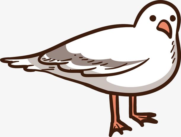 矢量图白色的小鸽子