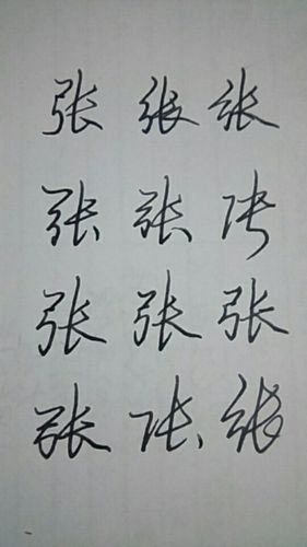 庞中华钢笔字帖行书张怎样写