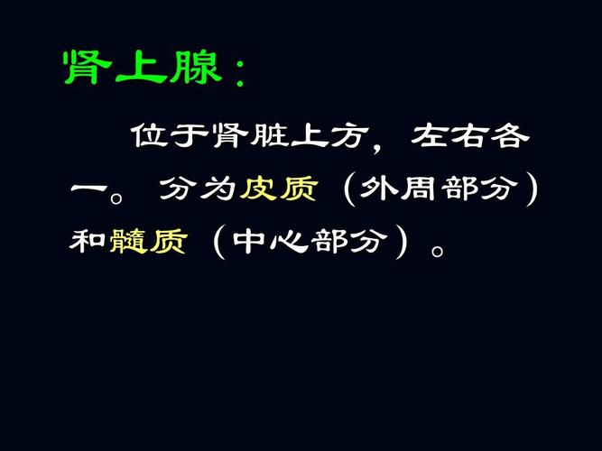 第 三十二章 肾上腺皮质激素药物ppt