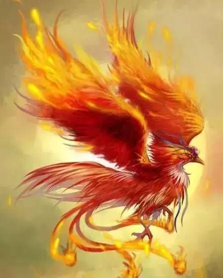 水瓶座专属的守护神兽是凤凰.