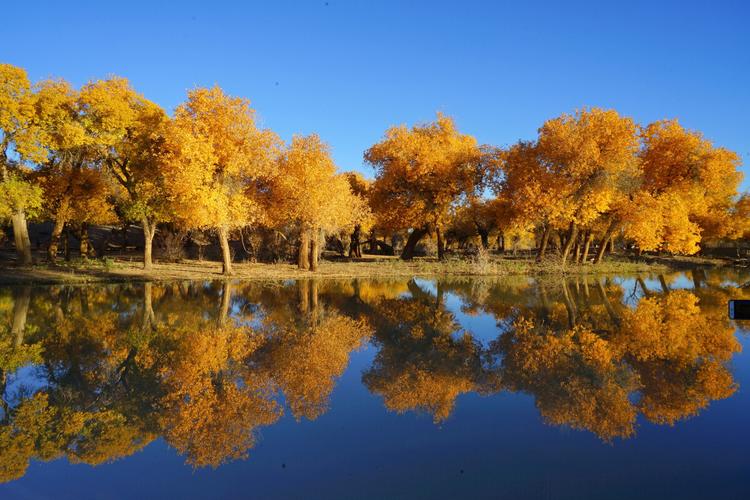 敦煌当地旅行社_敦煌旅游网-甘肃美景假期国际旅行社