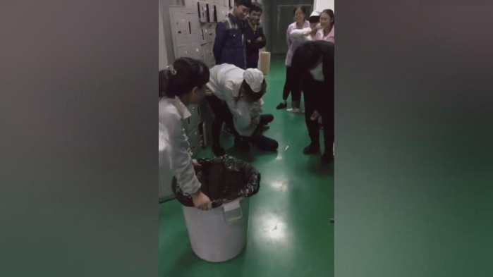 河北一电子厂里, 漂亮女孩就这样被扔进了垃圾桶