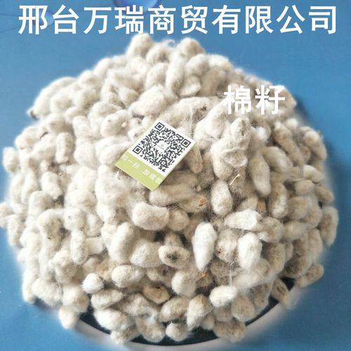 全棉籽新疆棉籽优质棉籽一手货源