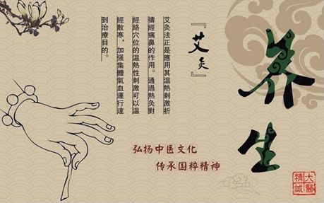 三伏天艾灸养生图片