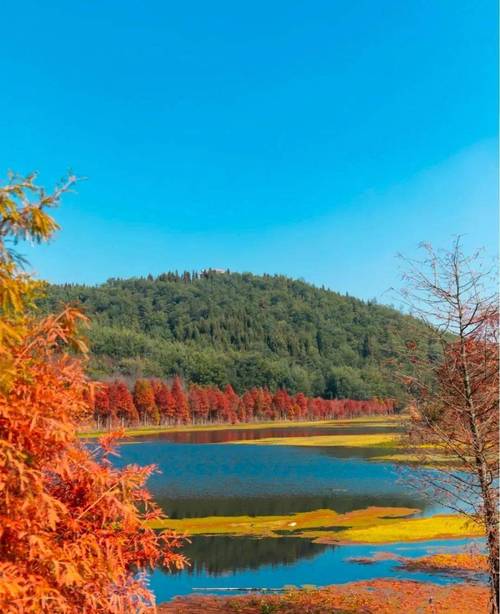 昆明三家村水库红了,仿佛去到了仙境,美到窒息!