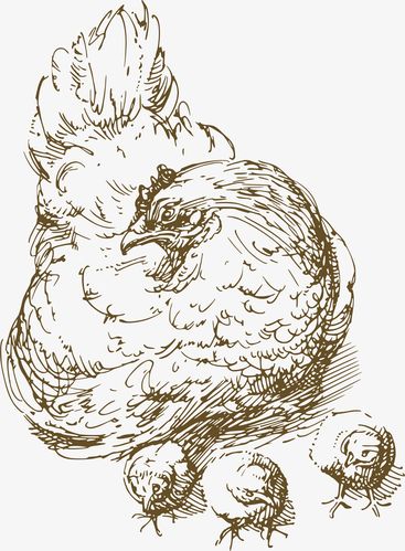 手绘卡通母鸡设计