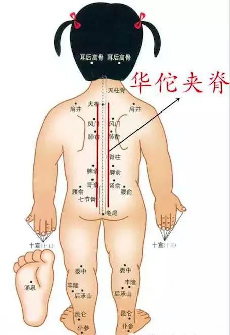 推华佗夹脊5分钟(从上往下推)