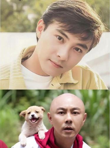 时隔20年, 张卫健"不计前嫌"和tvb合作, 只提出这个要求!