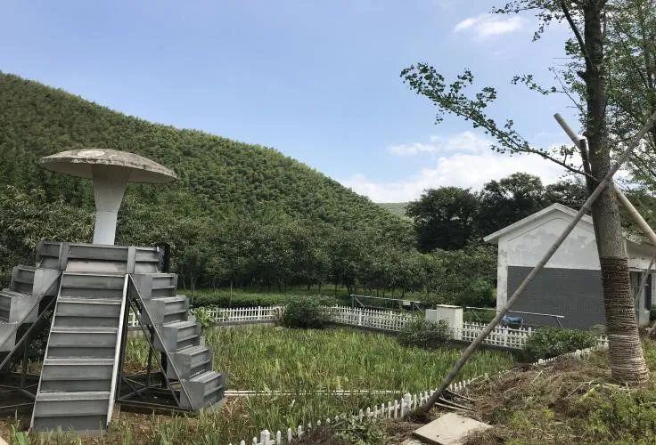 太华镇太平村成功获评"2020年度宜兴市农村人居环境整治综合示范村"!