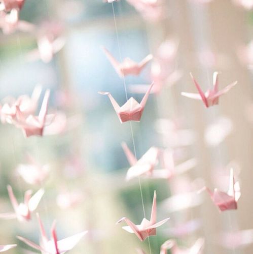 落花忆梦