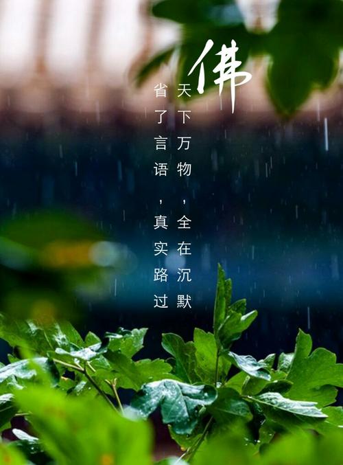 人生无常,心安便是归处!放慢脚步,人才会有归宿!