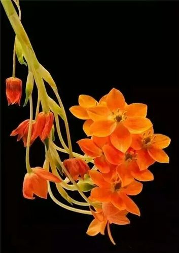 祝您全家幸福安康,周末愉快.