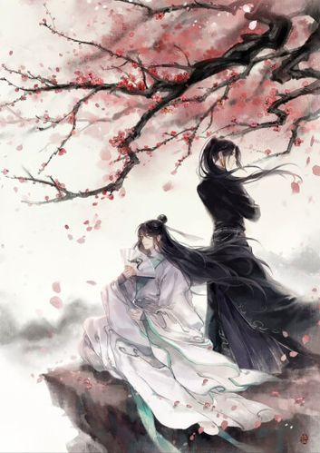 《天官赐福》贺玄x师青玄