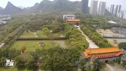 近日, 召开的桂林市重大项目专项协调会上表示,桂林熊虎山庄搬迁及