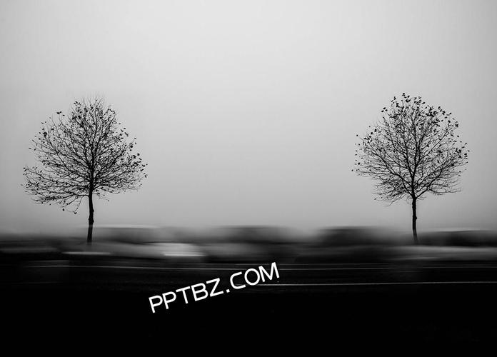 迷雾森林黑白静谧中心对称ppt背景图片下载