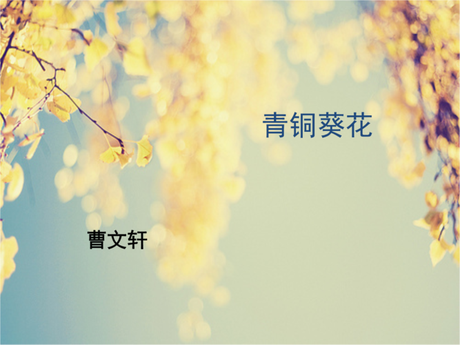 青铜葵花【带背景】ppt课件.ppt