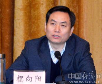 摆向阳简历