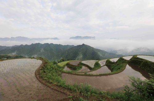 5月10日在湖南张家界市永定区大坪镇堡子界拍摄的山间梯田景色.