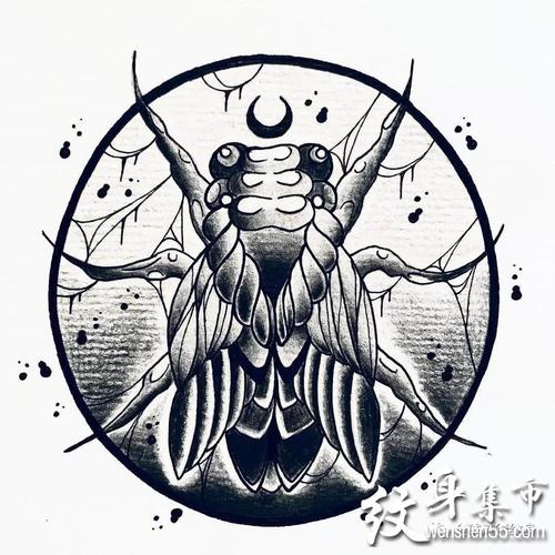 蝉纹身蝉纹身手稿蝉纹身手稿图案
