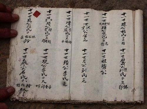 堂号不仅仅是用在祠堂,还多用在族谱,店铺,书斋及厅堂,礼簿等处;也有