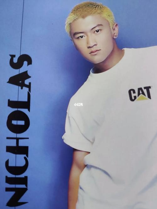 idol》--1997--那年谢霆锋17岁._谢霆锋_yes!