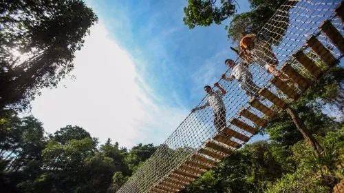 9元抢购三水南丹山森林王国门票,开启森林探秘之旅!