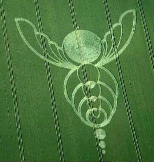 麦田怪圈_看图_外星人吧_百度贴吧