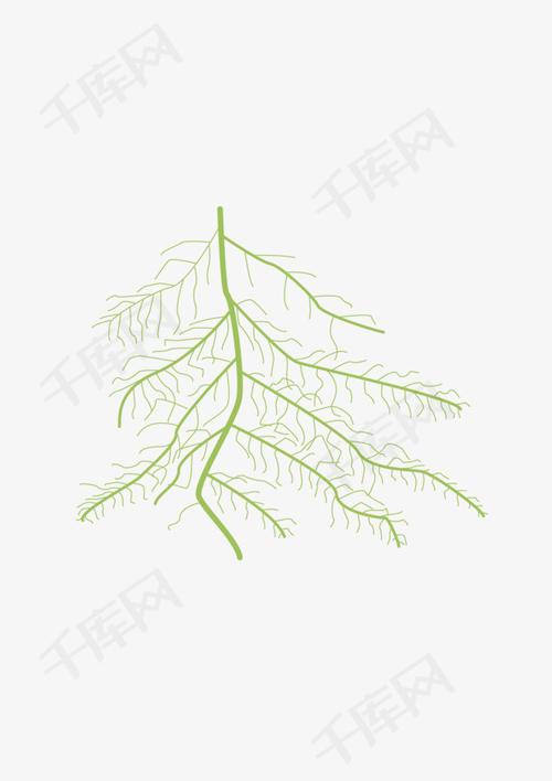 平面树根简笔画
