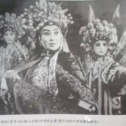 北路梆子《杨门女将》贾桂林"趁月光 了敌营 山高势险