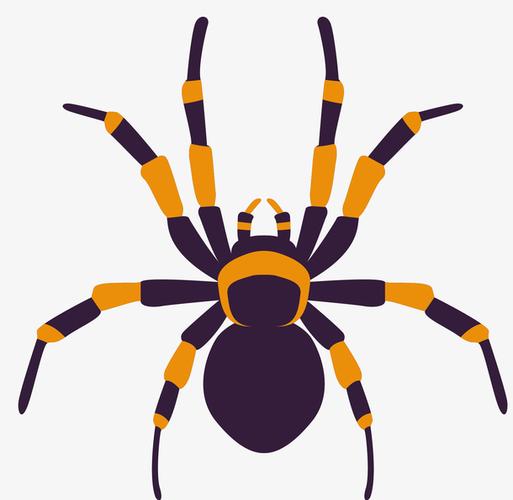 卡通蜘蛛png下载